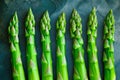 Fresh Green Asparagus Stalks on Dark Background. Royalty Free Stock Photo