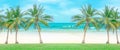 Row of green leaves Coconut palm trees on green grass lawn in front of clean brown sand beach, turquoise sea and white wave under