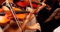 Row, group of anonymous violin players, children, people playing, bows in hands, stands in front, closeup. Classical music concert