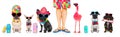 Row of dogs on summer vacation Royalty Free Stock Photo