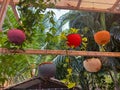 A row of hanging pots with plants in them Royalty Free Stock Photo