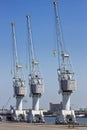 Port shipping cargo cranes