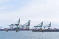 Row of harbor cranes