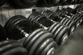 Row of heavy dumbbells in the gym. Active lifestyle and sports Royalty Free Stock Photo