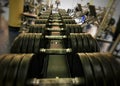 A row of heavy dumbbells at the gym