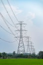 Row of High voltage pole, Large transmission electric tower with cable on rice field with blue sky in countryside Royalty Free Stock Photo