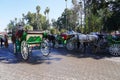 Row of horse-drawn carriages at Jemaa el-Fnaa in Marrakesh in Morocco Royalty Free Stock Photo