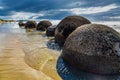 Row of huge round boulders Moeraki Royalty Free Stock Photo