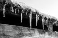 A row of icicles hanging from the barn roof, winter scene in black and white tones. Winter background Royalty Free Stock Photo