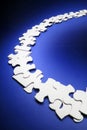 Row of Jigsaw Puzzle Pieces Royalty Free Stock Photo