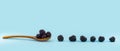 a row of juicy summer blackberry on a wooden spoon on a pure blue background