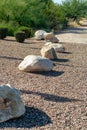 Row of large decorative rocks with colorful small pebles and stones with trees and plants in the background in afternoon Royalty Free Stock Photo