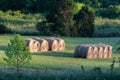 Row of Large Round Wrapped Hay Bales Roadside in Field Landscape in Tennessee Royalty Free Stock Photo