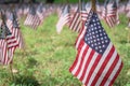 Row of lawn American flags display on green grass on Memorial Day in Dallas, Texas, USA Royalty Free Stock Photo