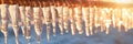 a row of long icicles hanging from the roof of a house on a sunny day panorama Royalty Free Stock Photo