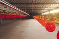 Row of machine to give food to chicken in poultry farm, clean place Royalty Free Stock Photo