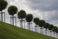 Row of manicured Tilia trees in line on a green grass lawn hill of the Garden of Venus with a blue sky and white grey clouds