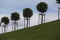 Row of manicured Tilia trees in line on a green grass lawn hill of the Garden of Venus with a blue sky and white grey clouds