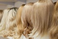 Row of Mannequin Heads with Wigs Royalty Free Stock Photo