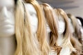 Row of Mannequin Heads with Wigs Royalty Free Stock Photo