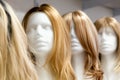 Row of Mannequin Heads with Wigs Royalty Free Stock Photo