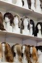 Row of Mannequin Heads with Wigs Royalty Free Stock Photo