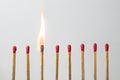 Row of matches, an outstanding one is burning with a flame, concept for creativity, commitment and leadership in the team, light Royalty Free Stock Photo