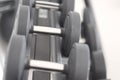 A row of metal dumbbells for fitness Royalty Free Stock Photo