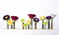 Row Of Multi Colored Flowers In Bullet Casings On White Background