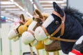 Row of multicolored hobbyhorses - children toys Royalty Free Stock Photo