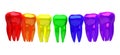 A row of multicolored teeth on a white background