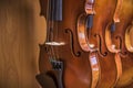 Row of multiple violins hanging on the wall, musician workshop