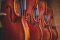 Row of multiple violins hanging on the wall, musician workshop