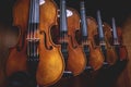 Row of multiple violins hanging on the wall, musician workshop Royalty Free Stock Photo