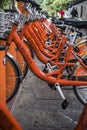 A row of neatly arranged orange-yellow city shared bikes