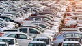 Row of new cars in port Royalty Free Stock Photo