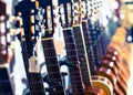 Row of new acoustic guitars in music shop Royalty Free Stock Photo