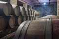 Row of oak barrels in a dry cool wine cellar Royalty Free Stock Photo