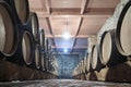 Row of oak barrels in a dry cool wine cellar Royalty Free Stock Photo