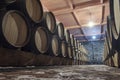 Row of oak barrels in a dry cool wine cellar Royalty Free Stock Photo