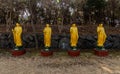 Row offour golden standing Buddhas in front of treeline