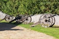 Row of old ancient vintage cannons on the green lawn against grey wooden palisade of the protective fence stakewall Royalty Free Stock Photo