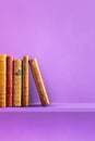Row of old books on purple shelf. Vertical background Royalty Free Stock Photo