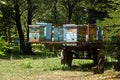 Beehives in the trailer Royalty Free Stock Photo