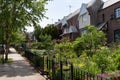 Row of Old Homes along a Sidewalk with Beautiful Green Gardens during Spring in Astoria Queens New York Royalty Free Stock Photo