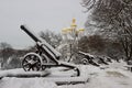 Row of old metal cannons covered with snow in winter park Royalty Free Stock Photo