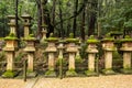 Row of old traditional japanese stone lanterns coverd with green vivid moss in the forest in Nara Park, Japan. Royalty Free Stock Photo