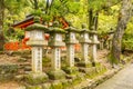 Row of old traditional japanese stone lanterns coverd with green vivid moss in the forest in Nara Park, Japan. Royalty Free Stock Photo