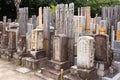 Row of older tomb stones at cemetery.