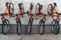 Row of orange mountain bikes parked. Urban mobility.